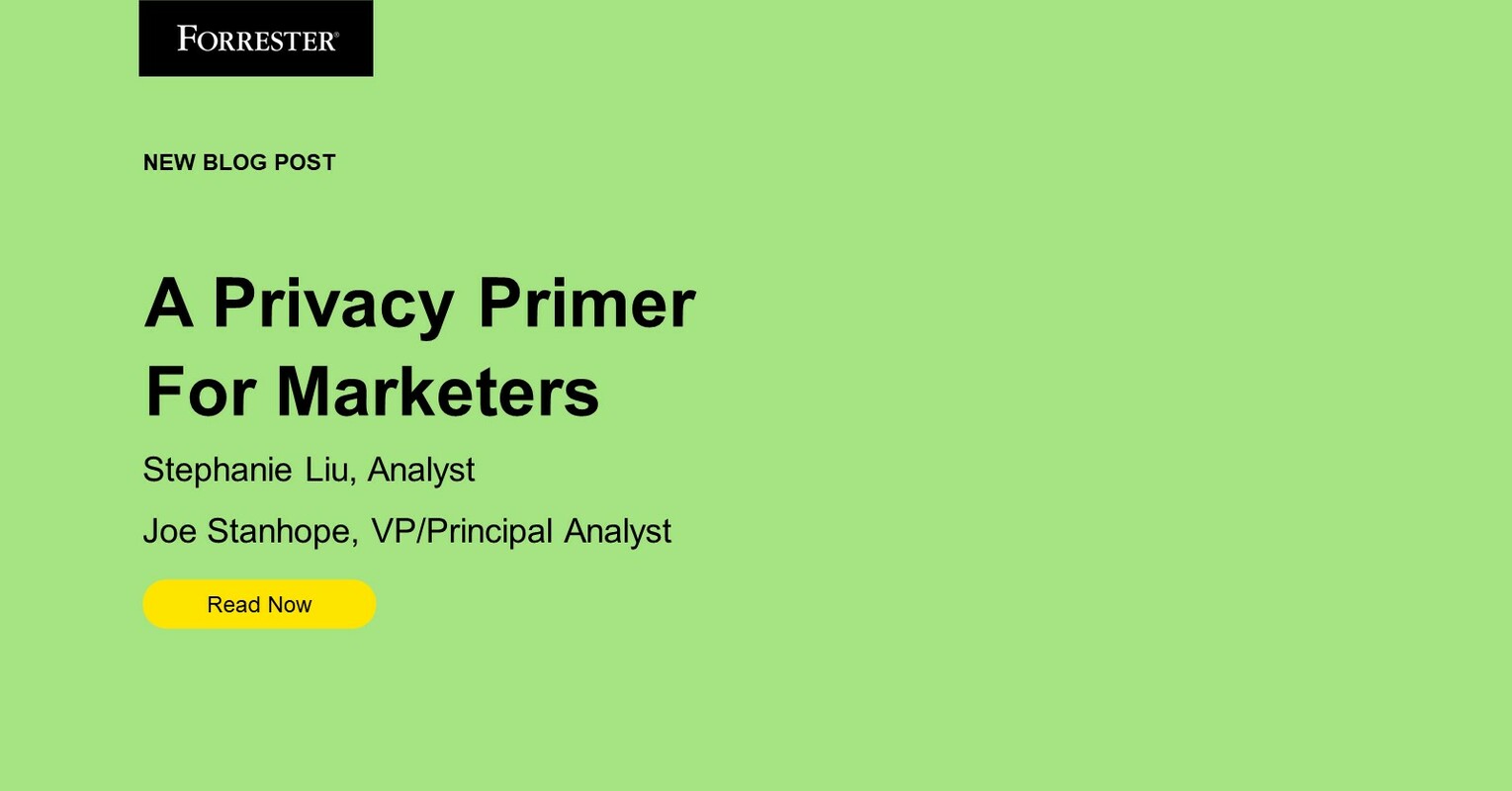 A Privacy Primer For Marketers