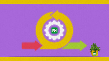 Agile Project Management For Marketing: All You Need To Know