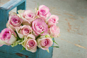 How PassionRoses Reached Out to the Right Celebrity at the Right Time