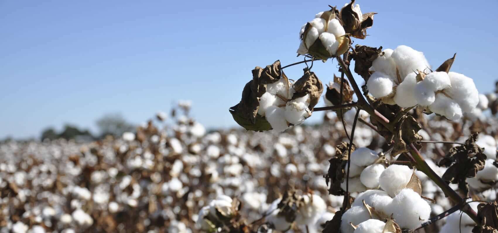 Relationship Management Platform For Fast-Growing Startup Succeeds