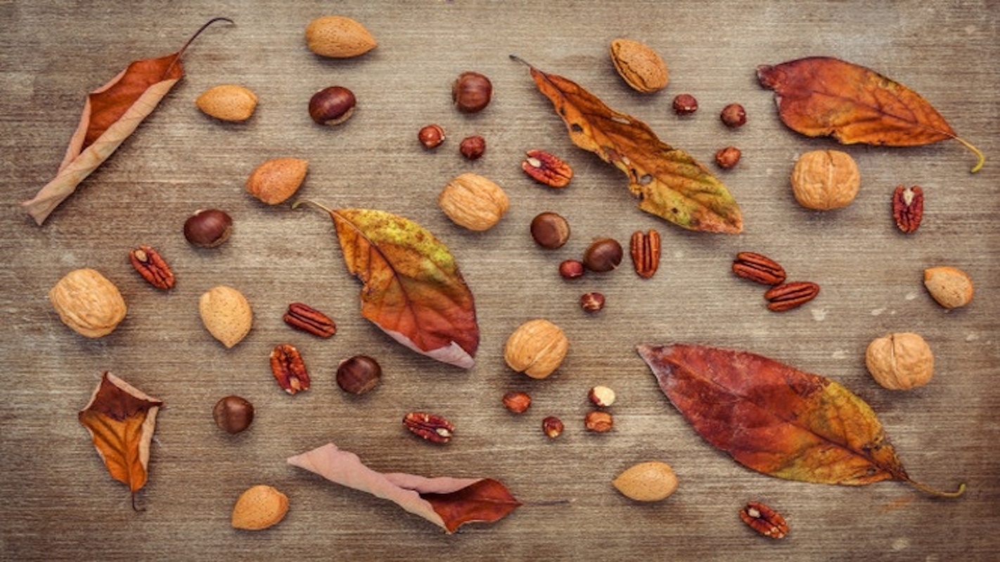 Top 10 marketing agency benefits from marketing automation [Slideshare] • VBOUT