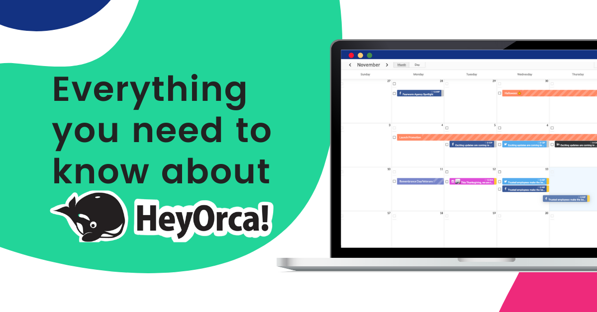 Everything You Need to Know About HeyOrca's Social Media Management Tool