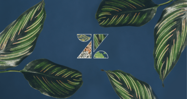 How the ERC connects the landscape with people who can help save it