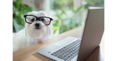 Using Lytics to send your customers the content they want