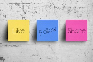 New Research: How Your Social Advertising Impacts Other Digital Channels