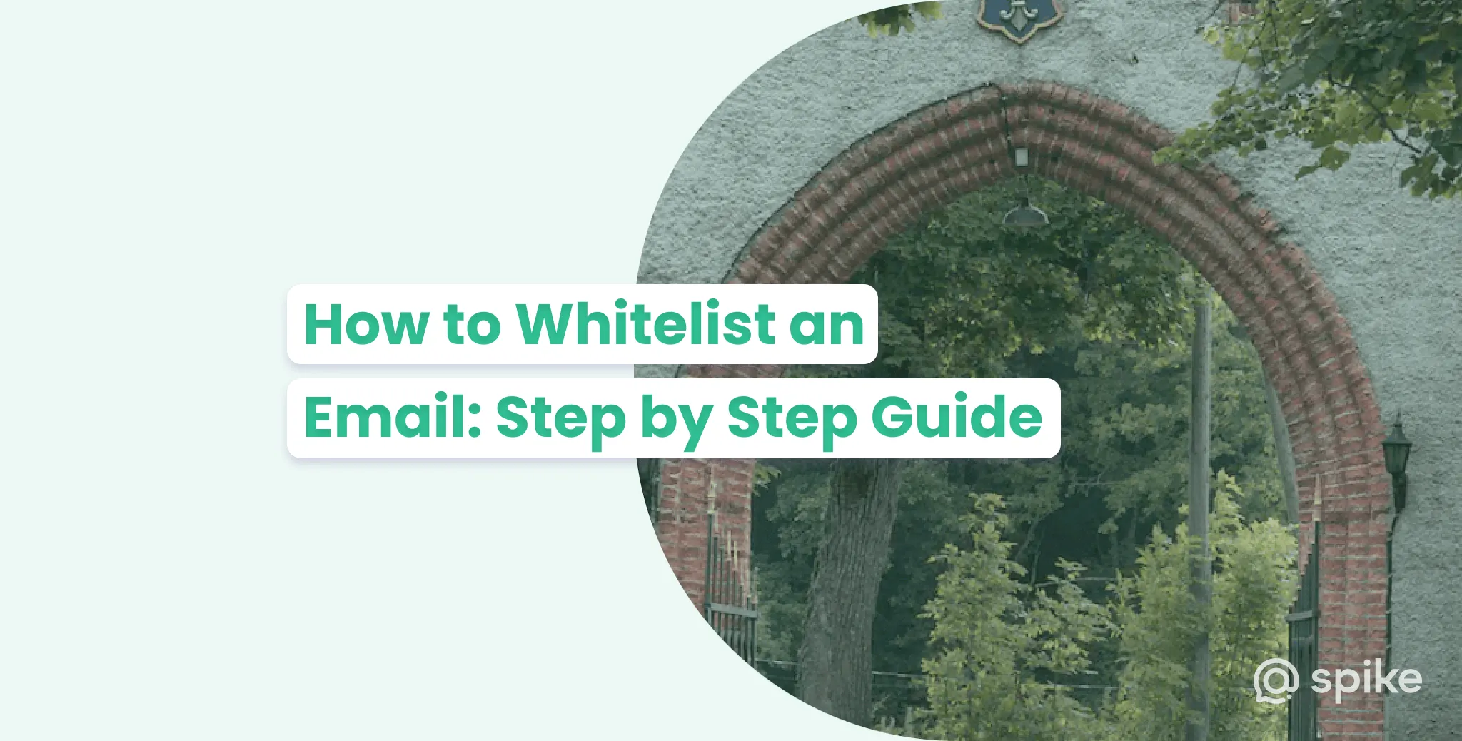 Skip the Filters - How to Whitelist an Email