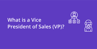 Vice President of Sales (VP)
