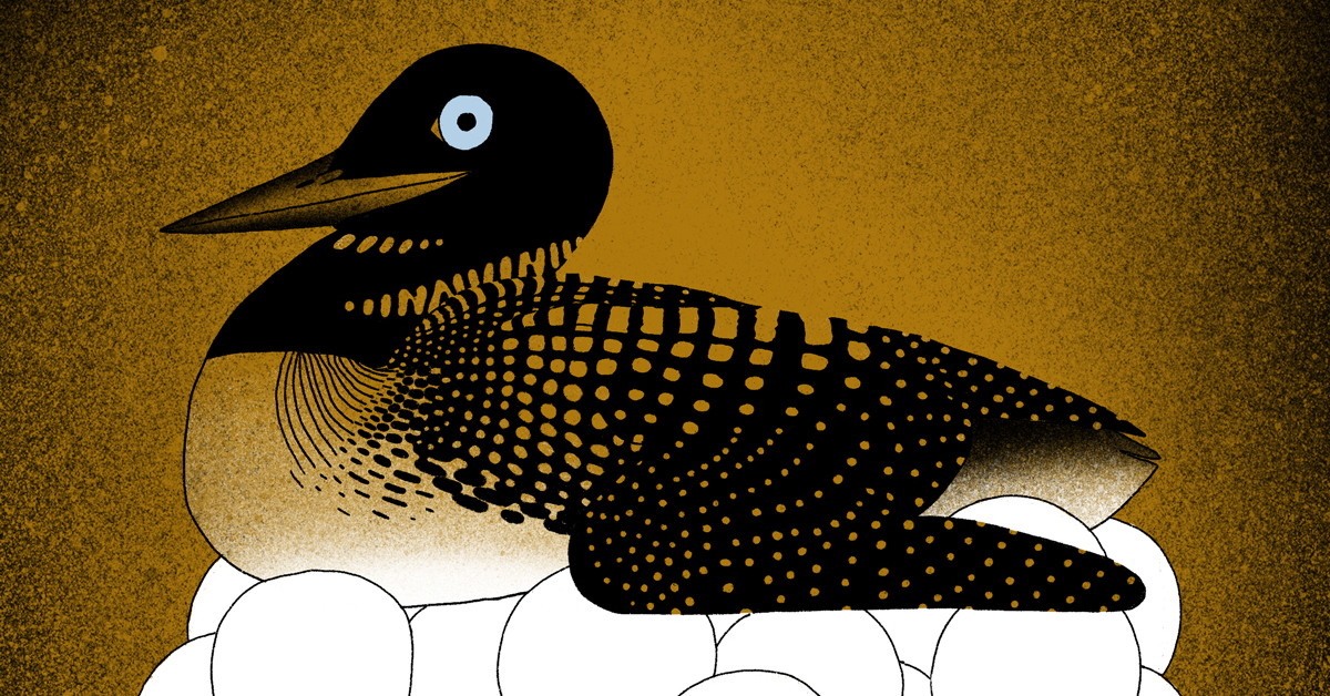 Safi Bahcall on the necessity of nurturing innovation