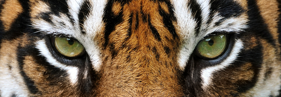 One-to-One Marketing: 6 Strategies to Transform Customer Relationships in 2025