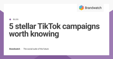 5 Stellar TikTok Campaigns Worth Knowing