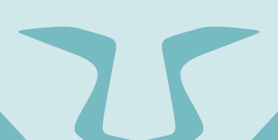 IP Address Meaning & Definition | Brave Browser