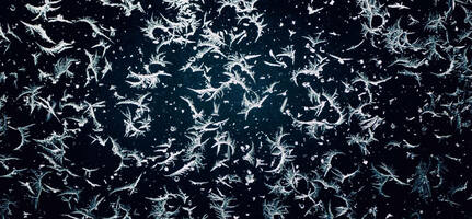 How to manage your seasonal brand's email database