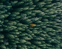 How to differentiate when you aren't different