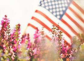 56 Creative & Inspiring Labor Day Instagram Captions