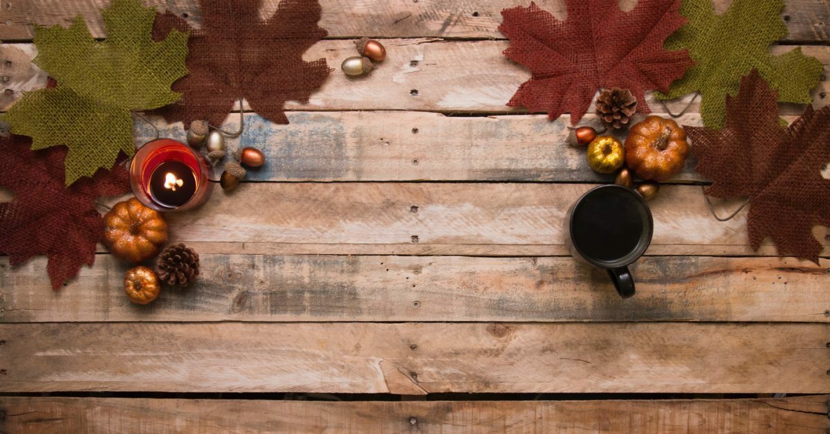 7 Best Customer Thanksgiving Email Templates to Inspire You