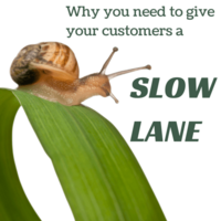 You Should Give Your Customers a Slow Lane