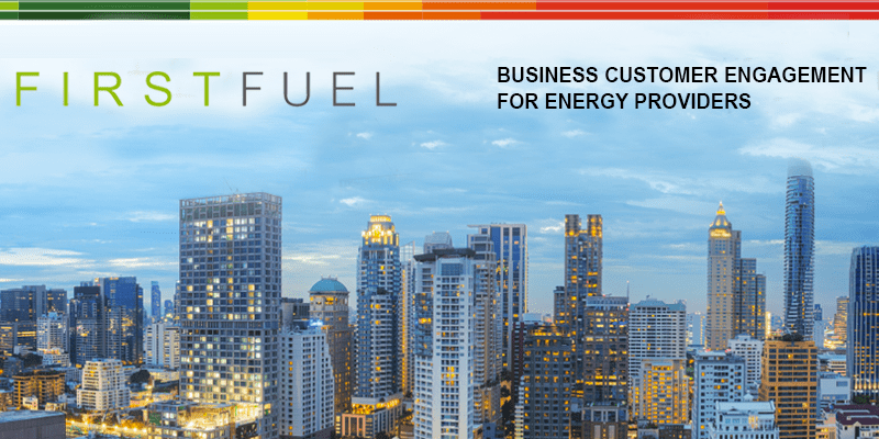 Welcome to my Customer Success Org: Domenic Armano of FirstFuel