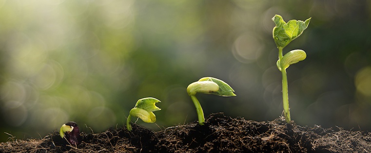 5 Sales Strategies Proven to Drive Growth [Infographic]