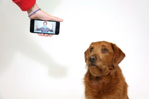 The Benefits of a Long-Form Video Strategy