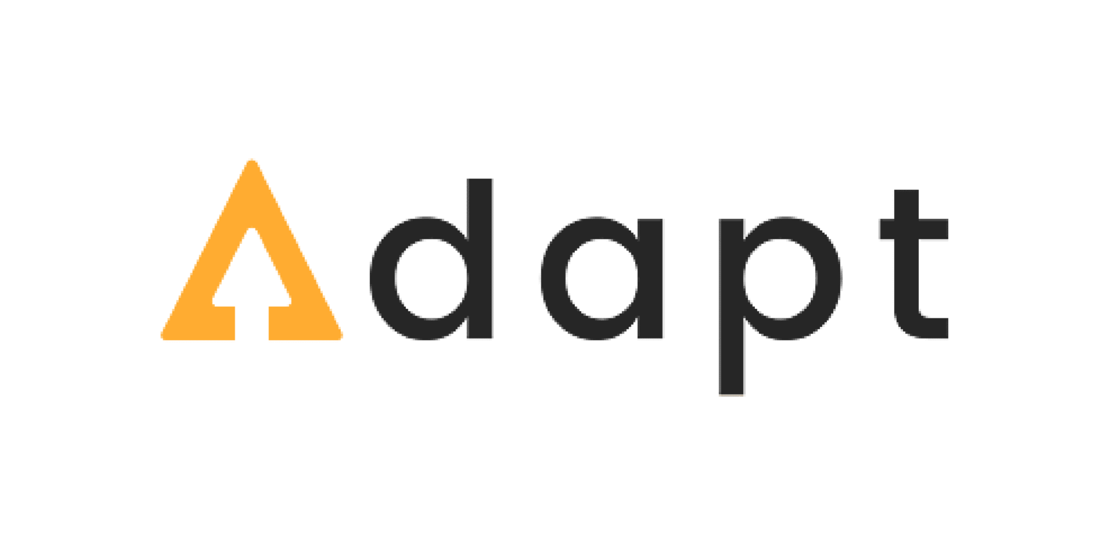 Skai's Audit Tool Saves Time and Boosts ROAS for Agenda Adapt's Amazon Campaigns