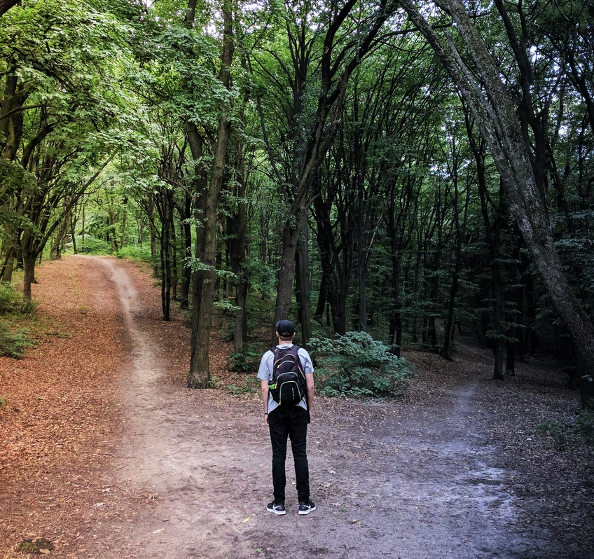 How do you decide between two sales jobs?