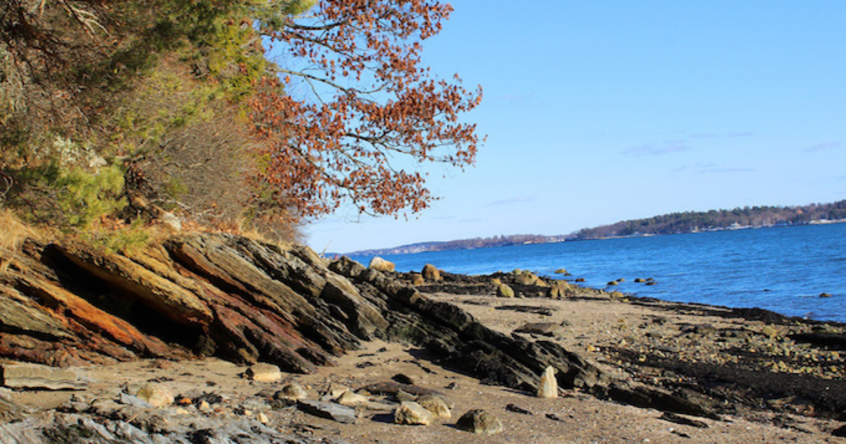 Female sellers are key to unlocking future sales success