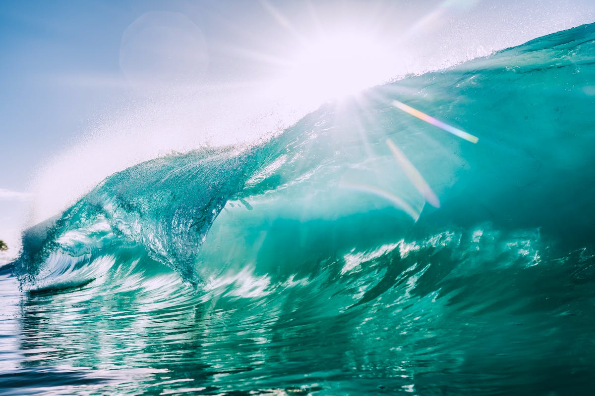 Forrester Names Salsify a Leader in 2023 PIM Wave Report