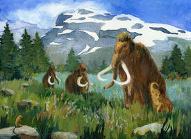 Mastodon's Growth: The Big Picture