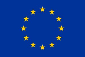 What GDPR Means to American Firms?