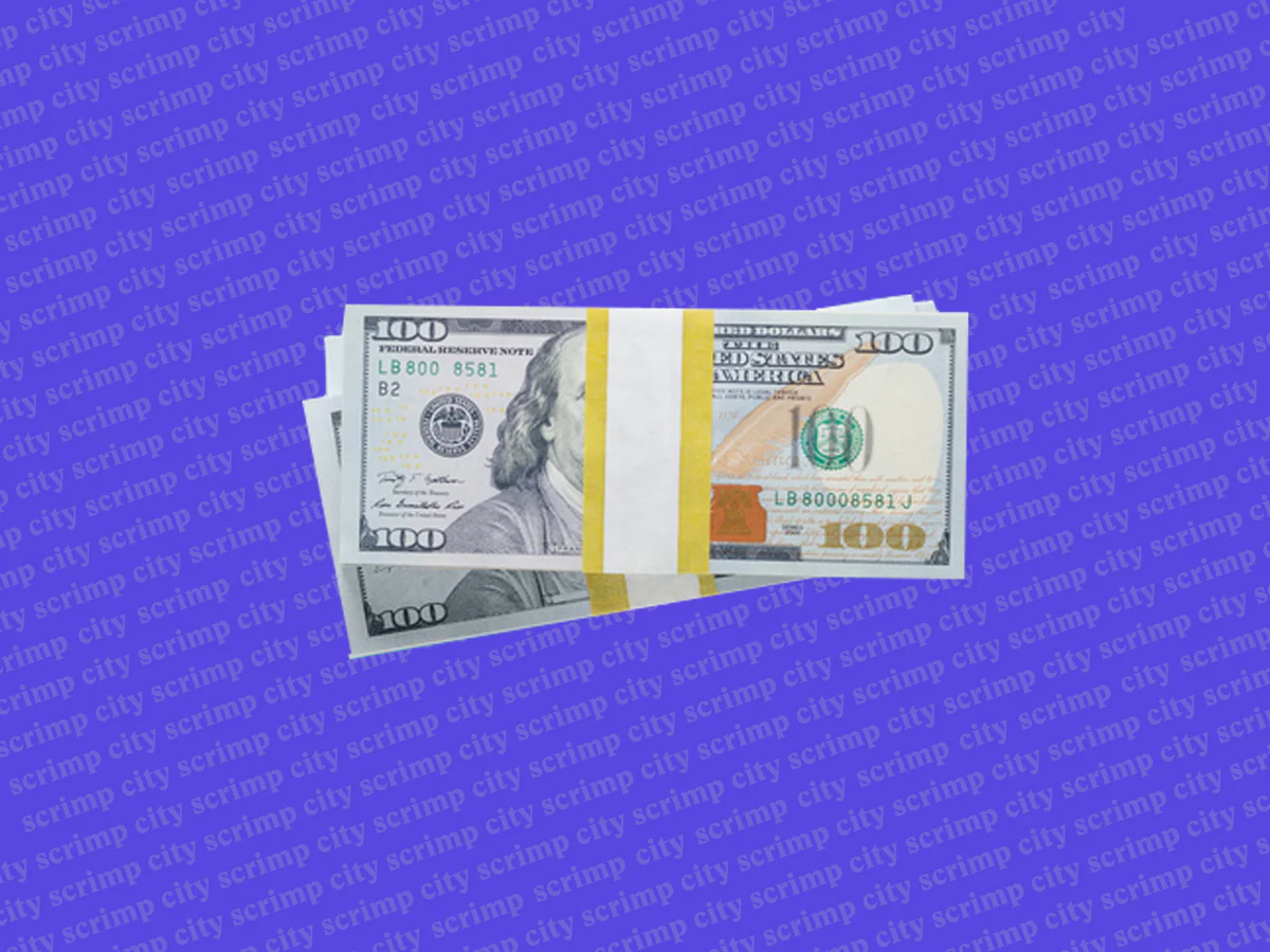 6 Super Helpful Money Lessons From Our Scrimp City Challenge Savers