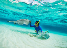 The 12 Best Video Editing Software for Beginners in 2022