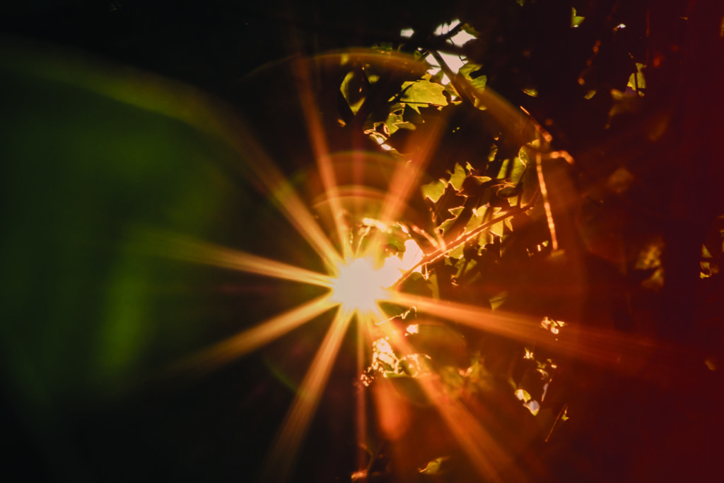 A customer decides THAT they want to buy from YOU before they decide WHAT they want to buy from YOUR COMPANY