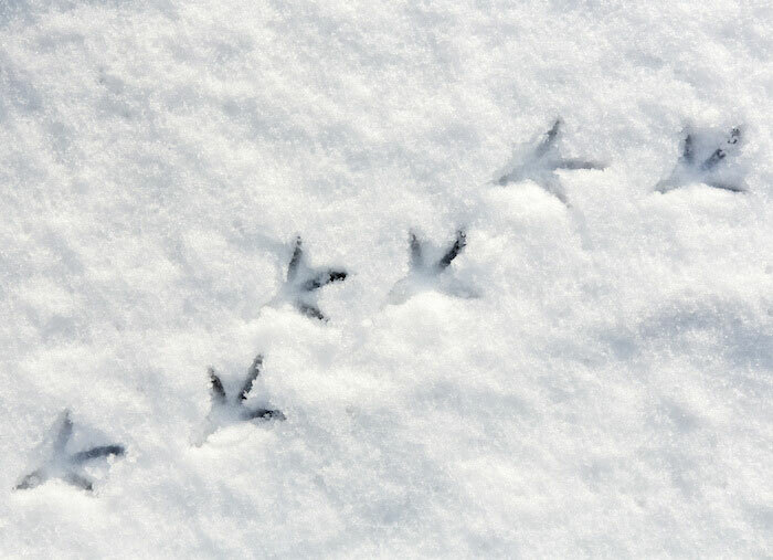 Google Ads Conversion Tracking: The Complete (& Easy) Guide