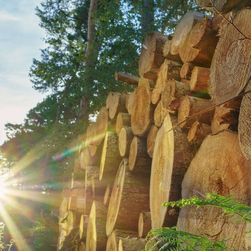 How product-level traceability meets consumer and regulator demands