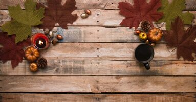 7 Best Customer Thanksgiving Email Templates to Inspire You