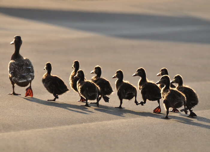 23 Ways to Get More Followers on Instagram [Updated for 2022]