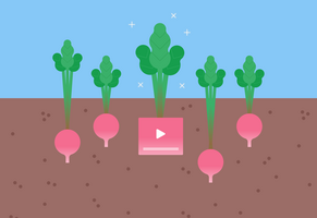 Learning from Influencers About Growing an Audience with Video