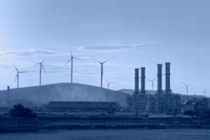 The Business Value of Transparent Carbon Emissions Data