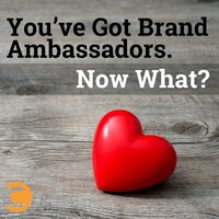 You've Got Brand Ambassadors. Now What?
