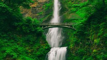 The best business loans for women entrepreneurs