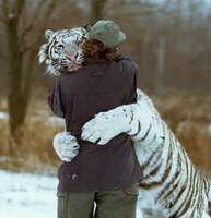 Choose and start with social CRM - it's your nice opportunity