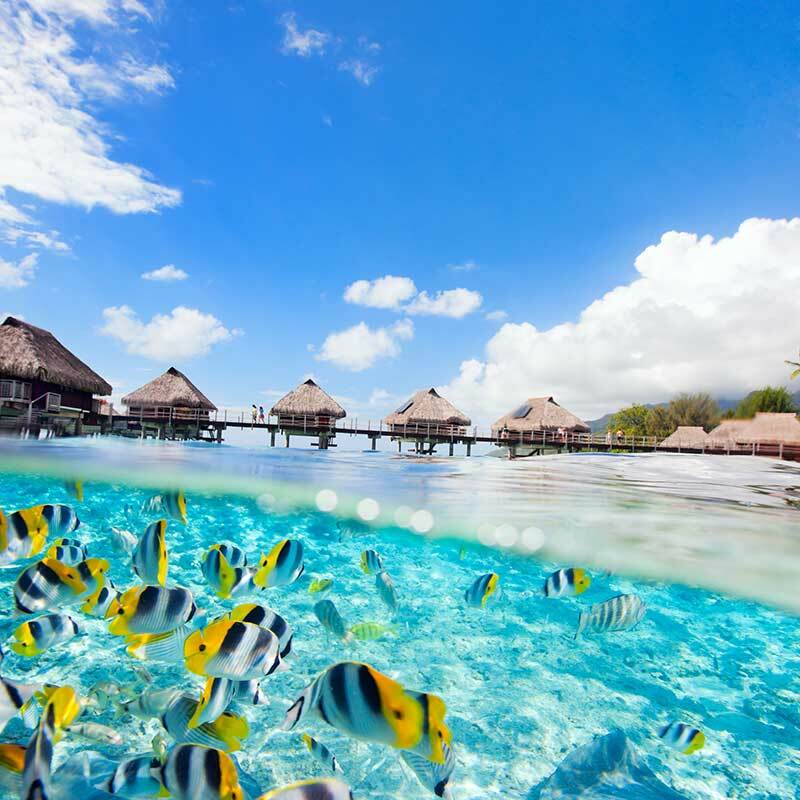 Lomas Travel | SugarCRM UK