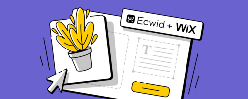 A Wix + Ecwid E-Commerce Website: the Benefits and 10 Beautiful Examples