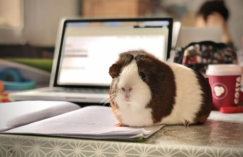 6 Time Management Strategies to Boost Productivity