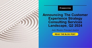 Announcing The Customer Experience Strategy Consulting Services Landscape, Q2 2024