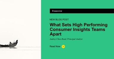 What Sets High-Performing Consumer Insights Teams Apart
