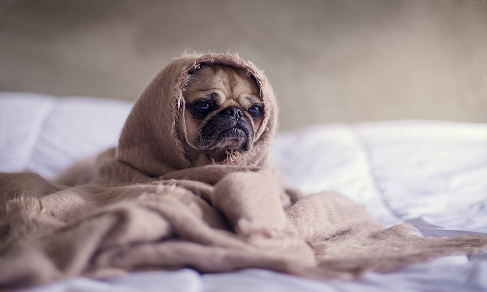 When empathy backfires