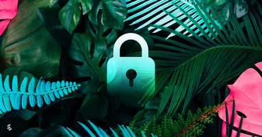 The value of data privacy: Why protecting your customers' PII matters 