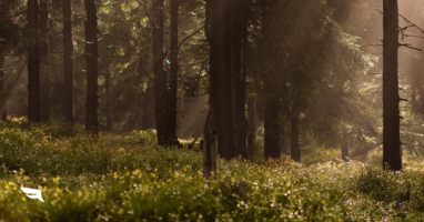 Monthly Social Media Calendar: Get Ready for April 2018.