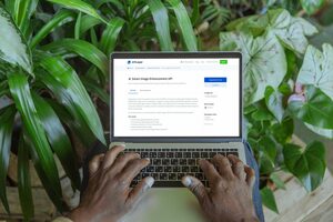 What Is An API Call? How Can I Make An API Call?